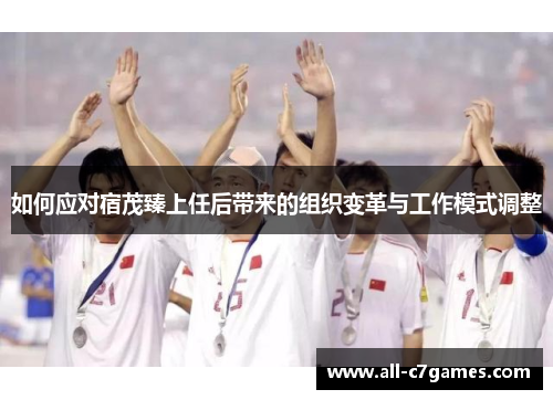 如何应对宿茂臻上任后带来的组织变革与工作模式调整