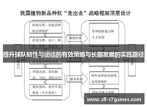提升球队韧性与团结的有效策略与长期发展的实践路径